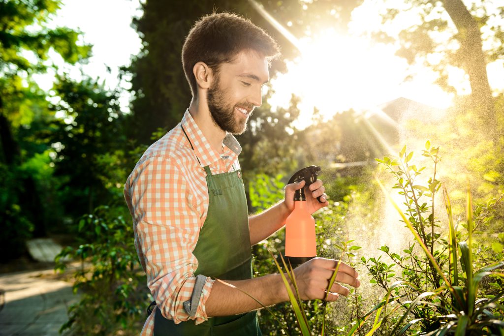 Young handsome gardener smiling, watering, taking care of plants. Flare sunlight on background.